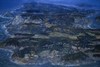 福王寺法林　作品集